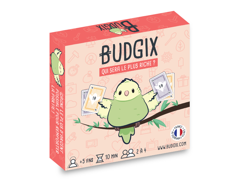 BUDGIX - jeu de cartes  pour initier les enfants à l'argent
