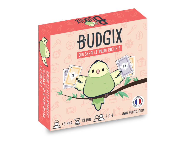 Budgix - Jeu de cartes / Jeu de société