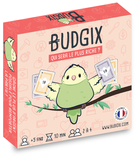 BUDGIX - jeu de cartes pour s'aumser entre amis ou en famille